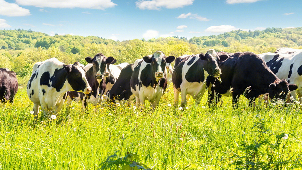 304am永利集团官网(中国)有限公司-Official Website