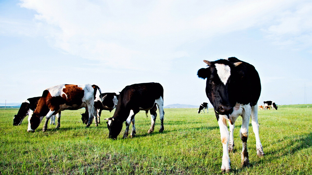 304am永利集团官网(中国)有限公司-Official Website