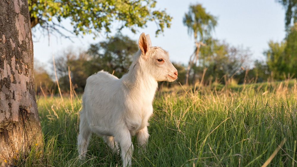 304am永利集团官网(中国)有限公司-Official Website